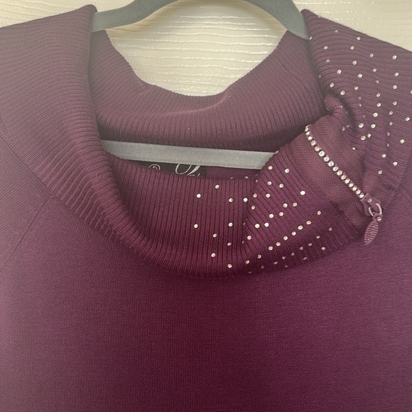 3 for $10 Questions Deep Purple Rhinestone Trimmed Tunic length Sweater Size L - Picture 2 of 9